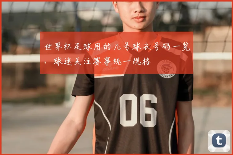 世界杯足球用的几号球衣号码一览，球迷关注赛事统一规格