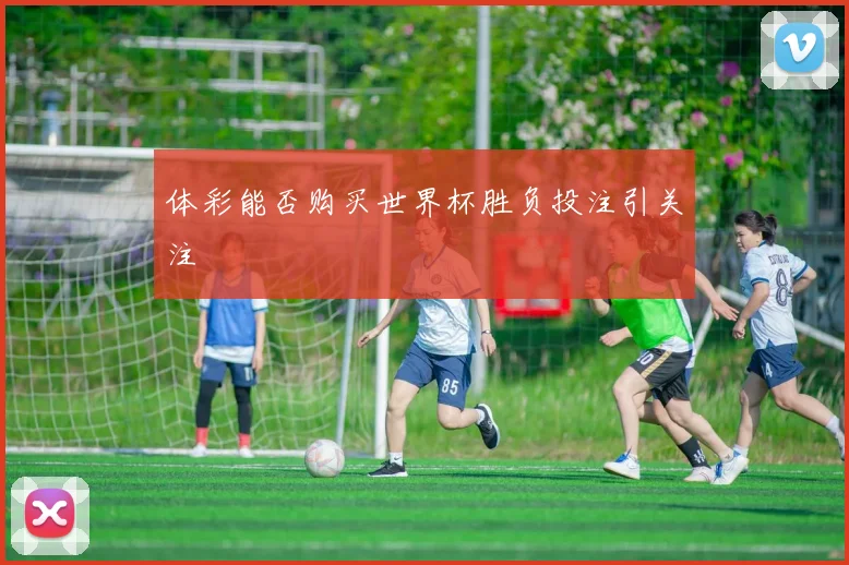 体彩能否购买世界杯胜负投注引关注