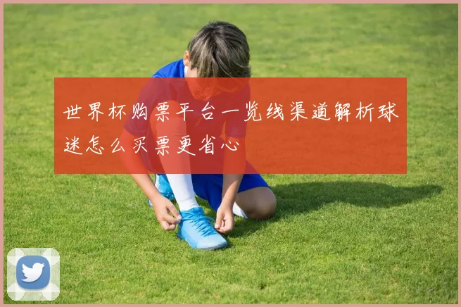 世界杯购票平台一览线渠道解析球迷怎么买票更省心